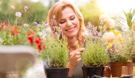 Cuáles son las mejores plantas para exterior