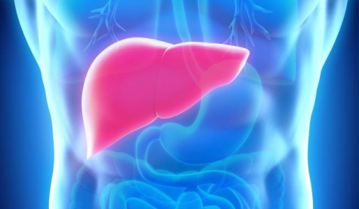 Cuál es la función del hígado