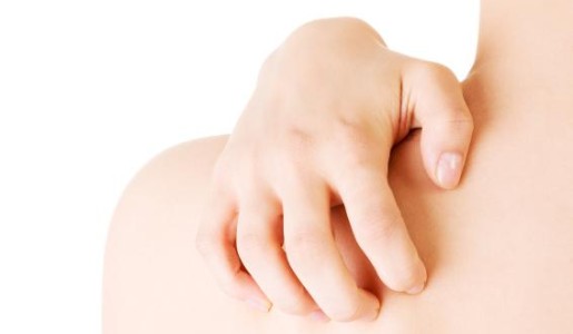 Cómo evitar picaduras de chinches