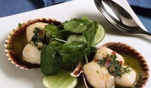 Conchas gratinadas en mantequilla de perejil