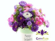 ¿Cómo saber cual tipo de flor regalar? - Tips Giftyflor